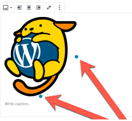 Editing Images in WordPress