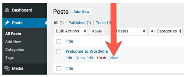 How to Add a Comment in WordPress