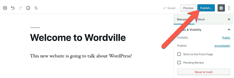 Write a Post in WordPress