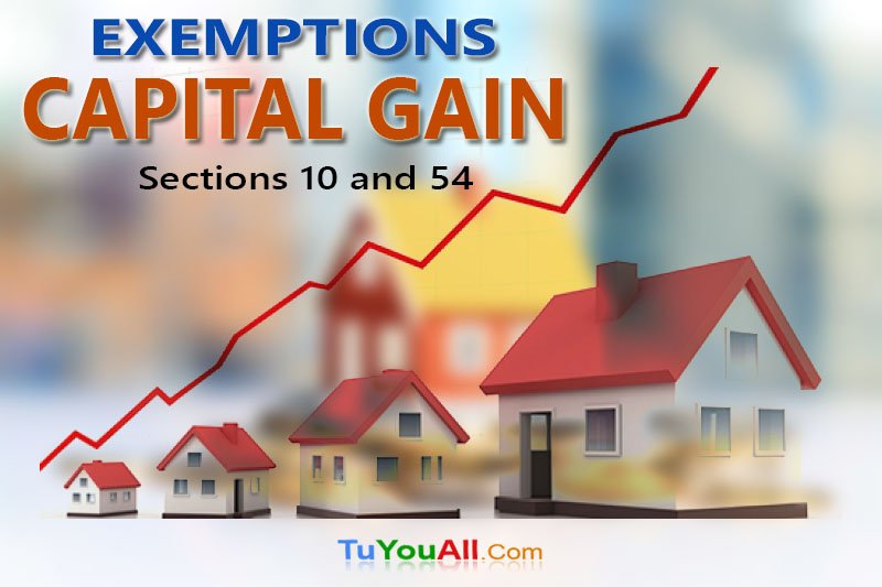 Exemptions In Capital Gain Table Summary View
