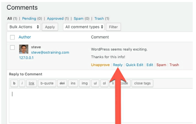 How to Add a Comment in WordPress