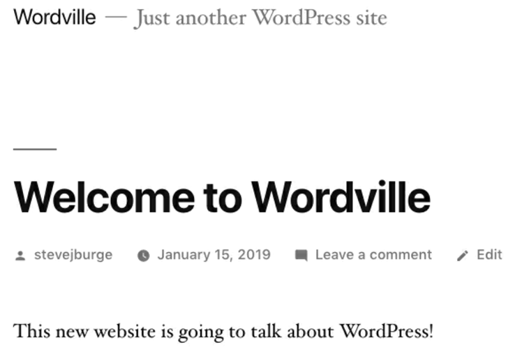 Write a Post in WordPress