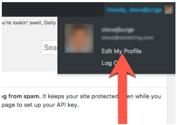 Howt to Update your User Account in WordPress