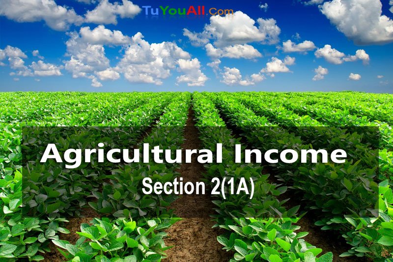 agricultural-income-and-its-tax-treatment-section-2-1a