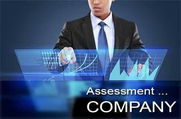 Assessment of Company