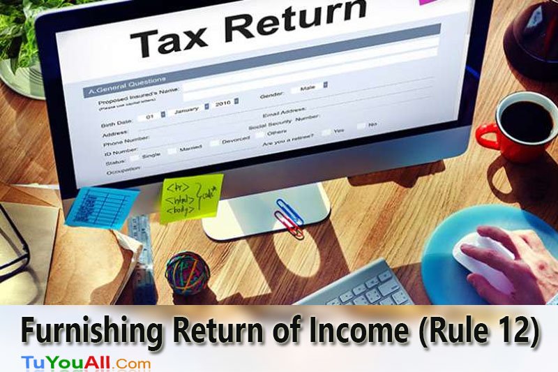 Manner of Furnishing Return of Income (Rule 12)