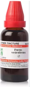 Fucus Mother Tincture (Q) - Lose Weight After 40 For Women 