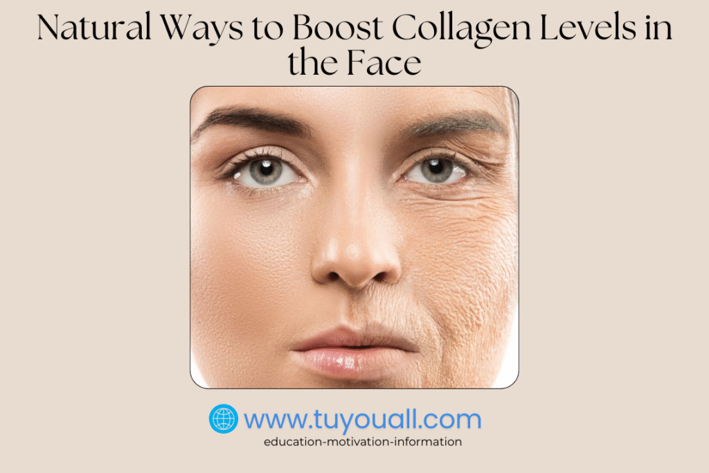 Natural Ways to Boost Collagen Levels in the Face