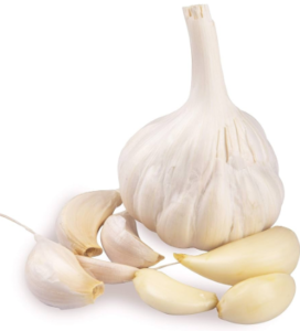 Garlic