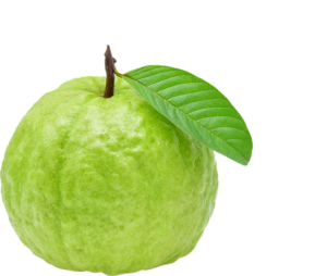 g04caf3cae988a846658129e1703de89551545ebf719c8f0f5810feba36fc9a38602de983ea54e73409f4999822fcbcab 640 8130276 Guava (Amrud)