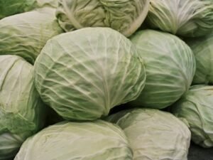 pexels photo 10899601 10899601 Cabbage (Patta Gobi)