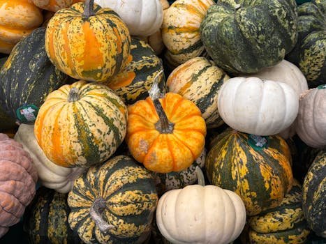 pexels photo 34623116 34623116 Pumpkin (Petha/Kaddu)