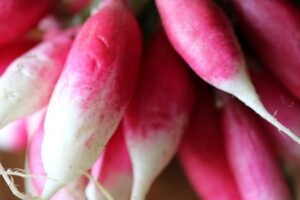 pexels photo 1257075 1257075 Radish (Mooli)