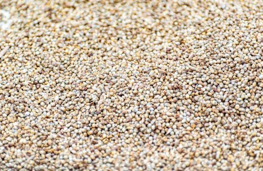 Millets — Bajra, Ragi & Barley