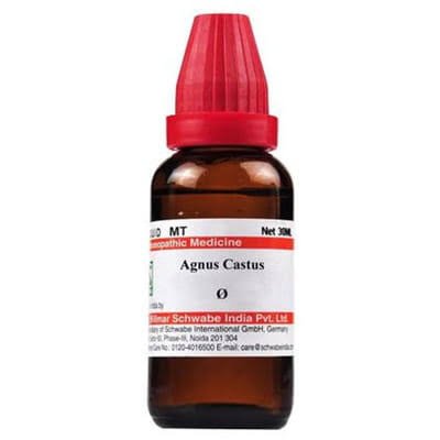 Agnus Castus Mother Tincture The Vitality Enhancer Agnus Castus Mother Tincture: The Vitality Enhancer