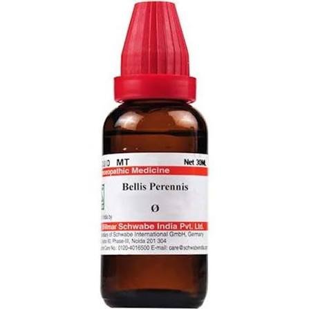 Bellis Perennis The Muscle Pain Healer Bellis Perennis: The Muscle Pain Healer