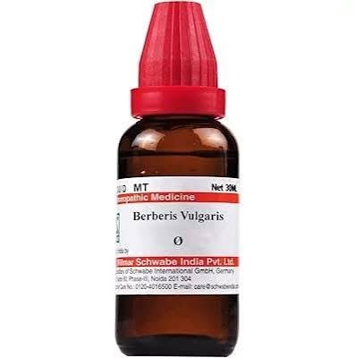 Berberis Vulgaris The Kidney Stone Crusher Berberis Vulgaris: The Kidney Stone Crusher