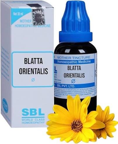 Blatta Orientalis The Asthma Reliever Blatta Orientalis: The Asthma Reliever