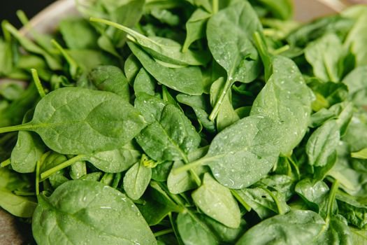 pexels photo 8845078 8845078 1 Spinach and Leafy Greens